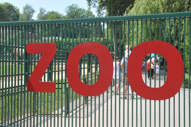 Krakowski Ogród Zoologiczny 2019