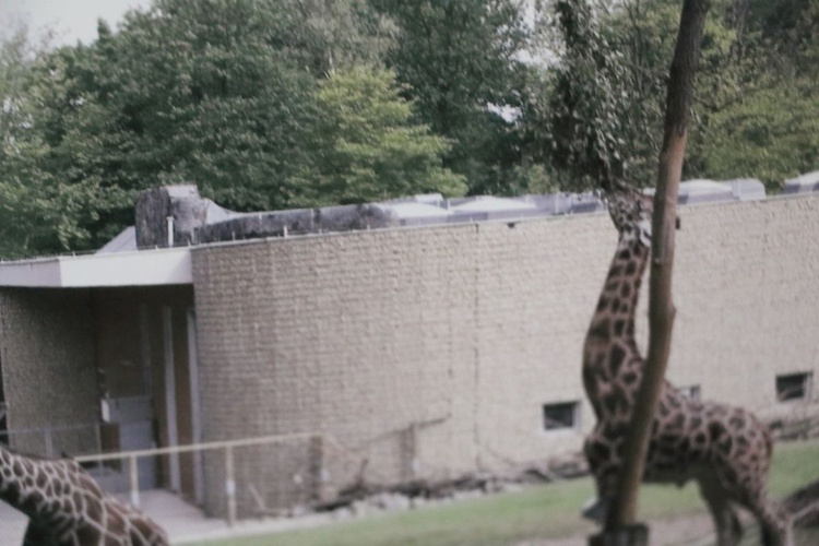 Jubileusz 90-lecia Krakowskiego Ogrodu Zoologicznego