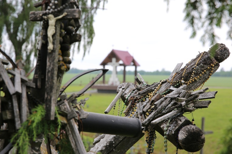 Szawle. Góra  Krzyży cz.1