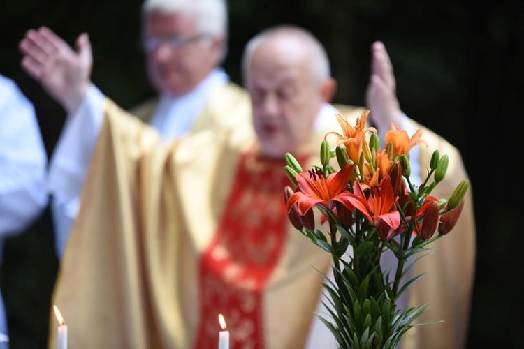 Za zmarłych na cholerę