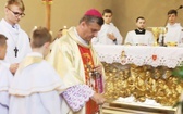 Siedem wieków Pietrzykowic - 2019