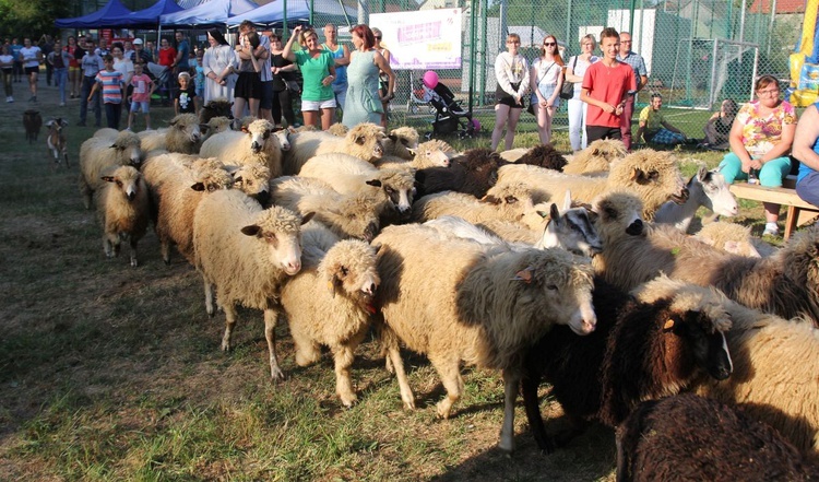 II Rodzinny Piknik Parafialny w Kamesznicy - 2019