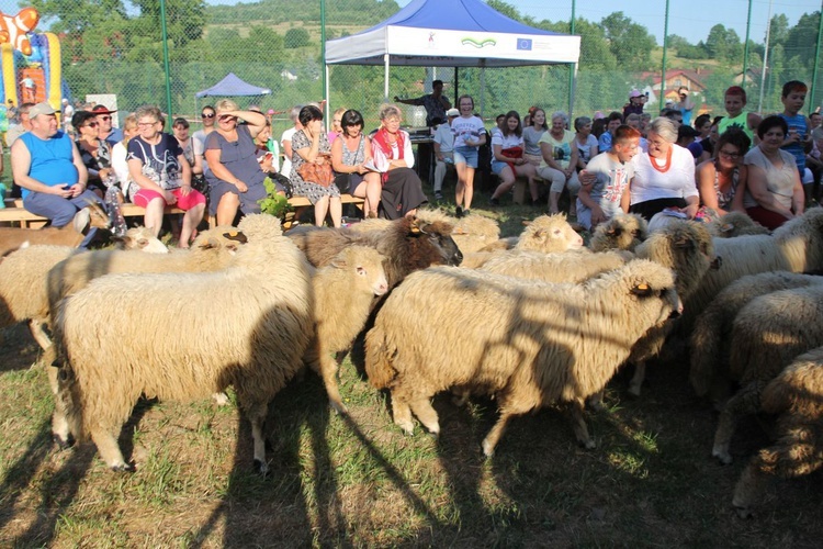 II Rodzinny Piknik Parafialny w Kamesznicy - 2019