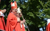 Pielgrzymka mężczyzn i młodzieńców