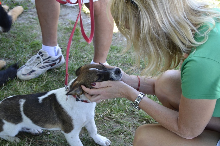 Piknik "Psia Chatka"