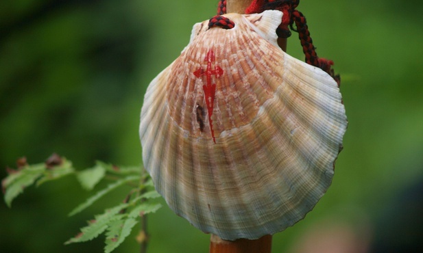 Camino również przez Łotwę