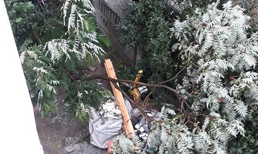 Śląskie: wichury przeszły nad województwem. Najwięcej szkód w okolicach Rybnika, Gliwic i Bielska-Białej