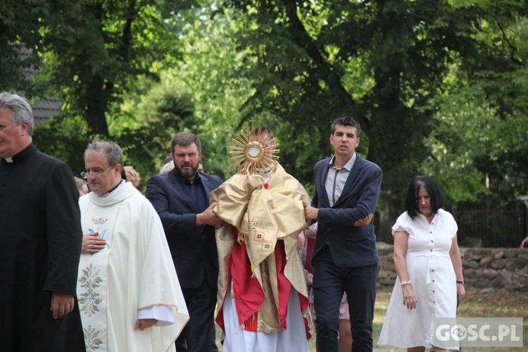 Jubileusz kapłański i pożegnanie proboszcza w Pławiu