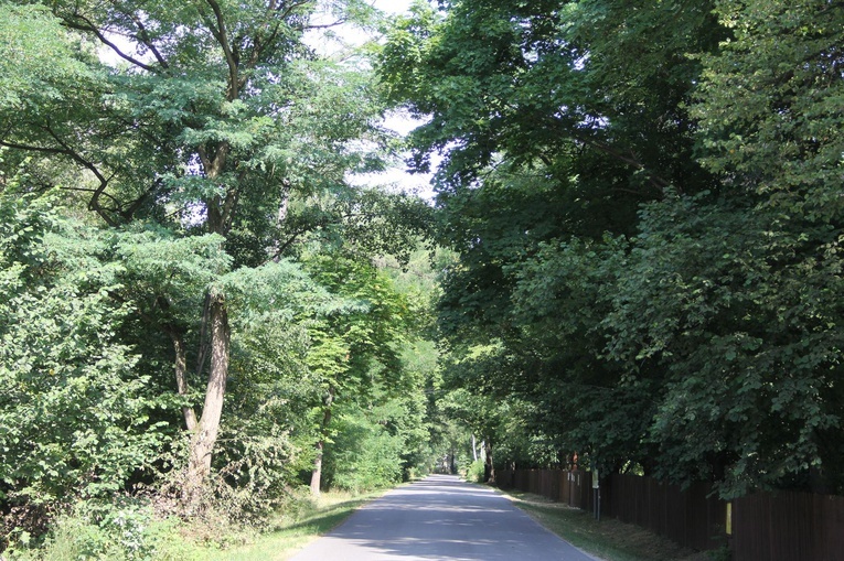 200 lat parafii Zaborów