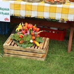 Pomidorowe święto w Dwikozach