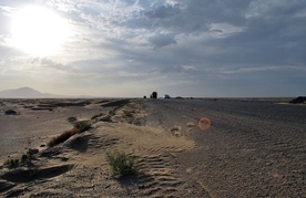 Jemen: katastrofalna sytuacja humanitarna, groźba głodu