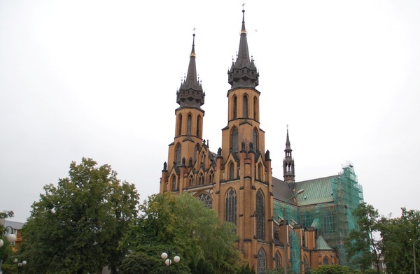 Katedra radomska.