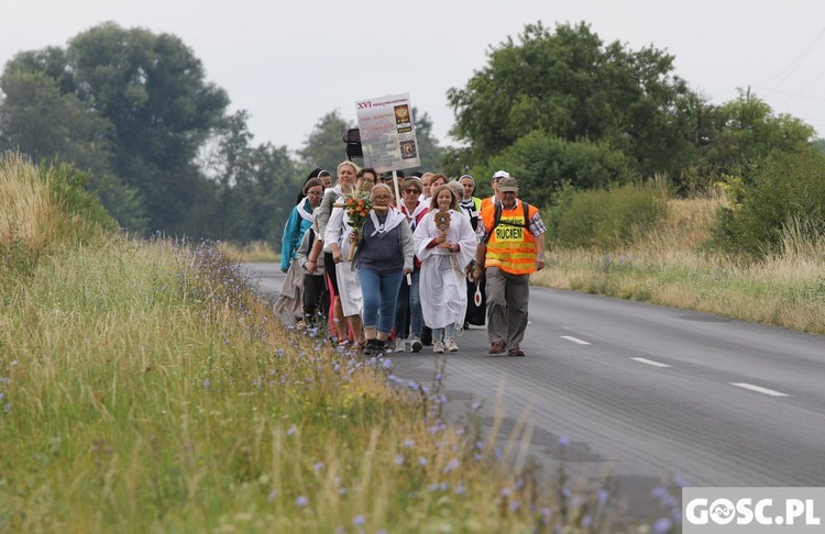 XVI Elżbietańska Piesza Pielgrzymka z Żar do Rokitna