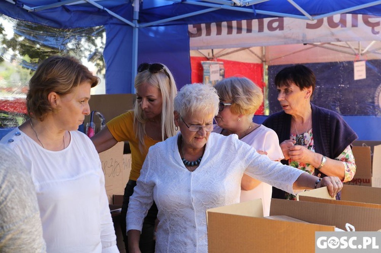 Festyn parafialny w Sulęcinie