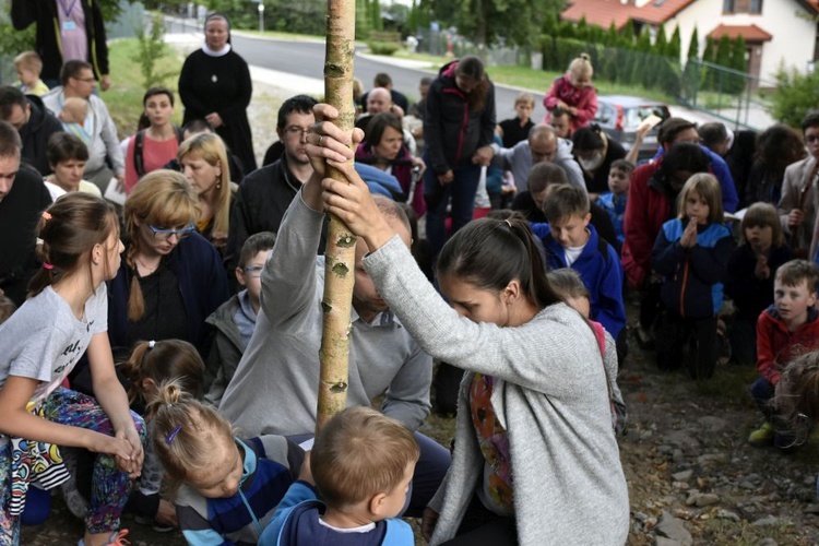 Oaza Rodzin 1* - Tajemnice bolesne