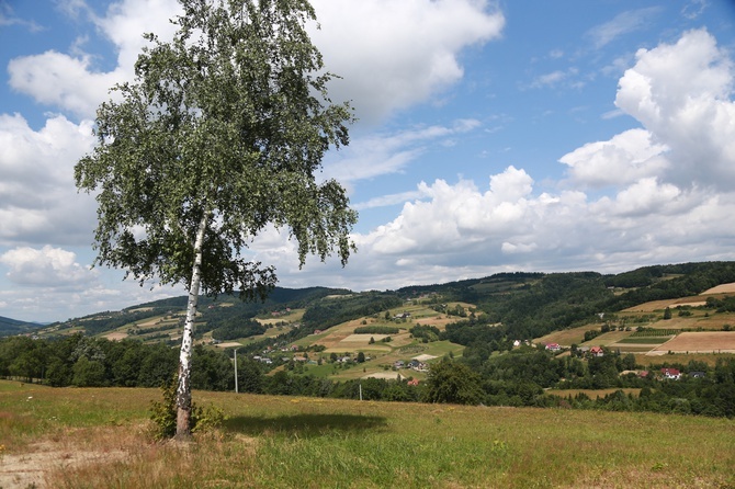 Wędrówka po Rozdzielu Dolnym