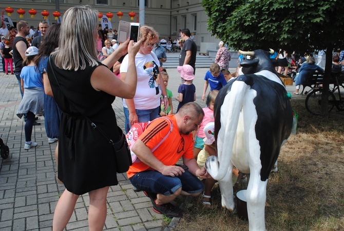 II Festiwal Pierogów