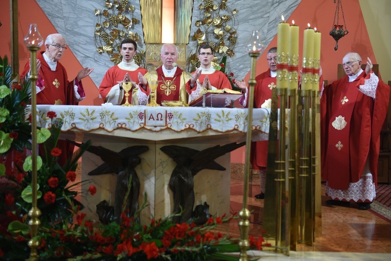 Święto patronalne brzeskiej fary i miasta 