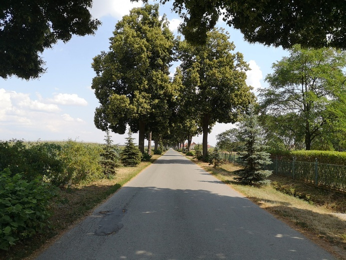 Piesza pielgrzymka do Świętych Schodów