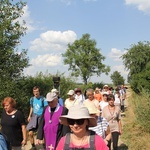 Piesza pielgrzymka do Świętych Schodów