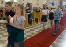 Do sanktuarium Matki Bożej Ostrobramskiej przybyło 8 oaz - 2 z gałęzi Domowego Kościoła oraz 6 dziecięcych i młodzieżowych.