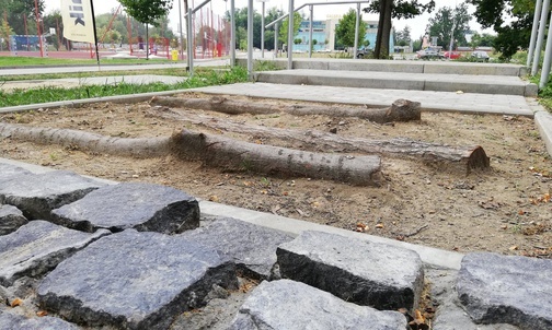 Rybnik: tor przeszkód nad Nacyną. Ścieżka edukacyjna dla osób niepełnosprawnych i ich opiekunów