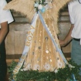 Żniwne cuda z Trzciany