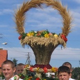 Żniwne cuda z Trzciany