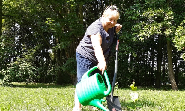 Jarząb, lipa, klon i grab. 1327 drzew posadzili mieszkańcy w Parku Śląskim. To reakcja na planowaną wycinkę