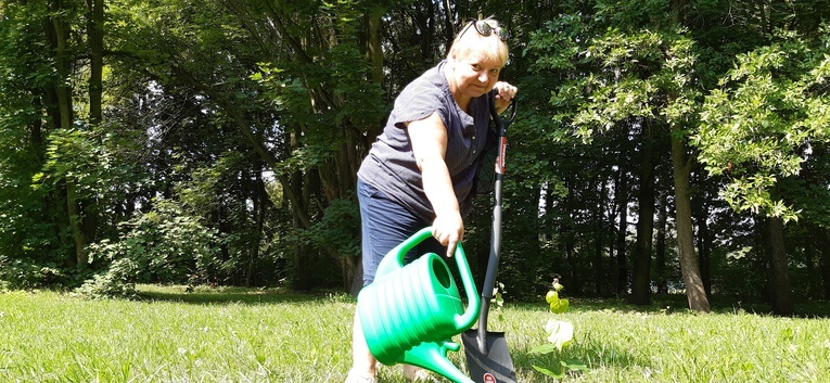 Jarząb, lipa, klon i grab. 1327 drzew posadzili mieszkańcy w Parku Śląskim. To reakcja na planowaną wycinkę