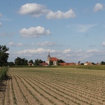 I Święto Bobu w Powidzku