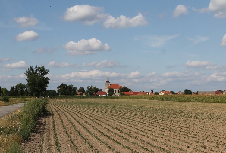 I Święto Bobu w Powidzku