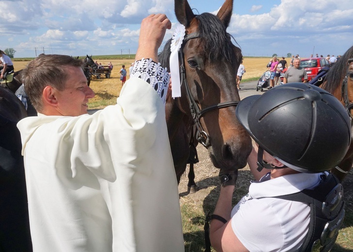 10. Pielgrzymka konna do Goja