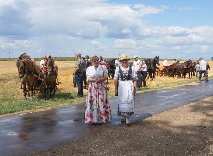 10. Pielgrzymka konna do Goja