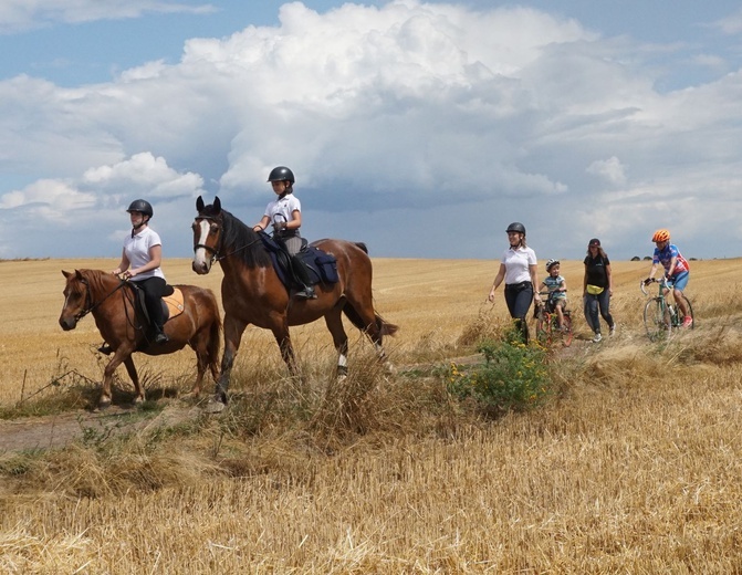 10. Pielgrzymka konna do Goja