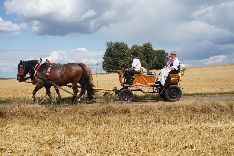 10. Pielgrzymka konna do Goja