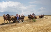 10. Pielgrzymka konna do Goja