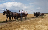 10. Pielgrzymka konna do Goja