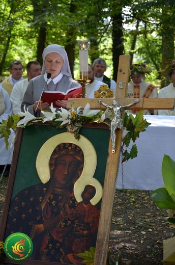 Dzień 5. PPDŚ: Radoszowice-Popielów