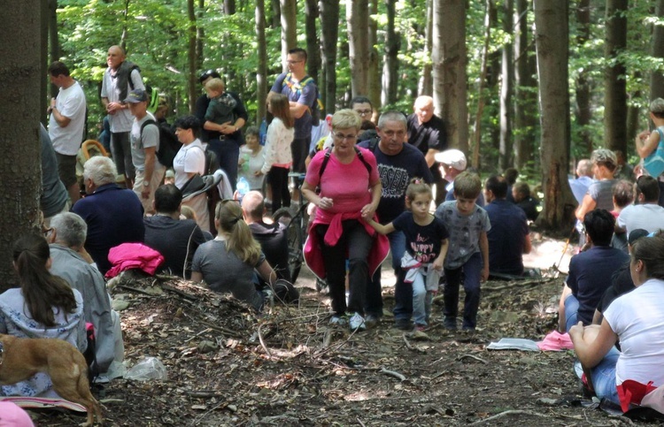 Trzonka 2019 - u Matki Bożej Śnieżnej