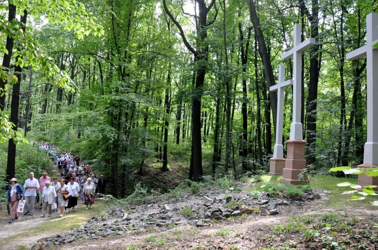 Odpust Porcjunkuli w Prudniku Lesie