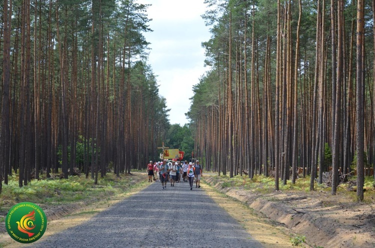 Dzień 7. PPDŚ: Laskowice - Łomnica, 6.08.2019