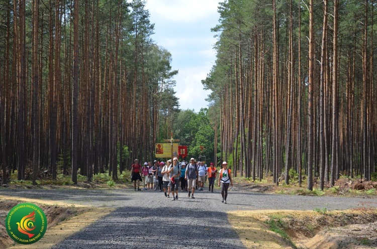 Dzień 7. PPDŚ: Laskowice - Łomnica, 6.08.2019