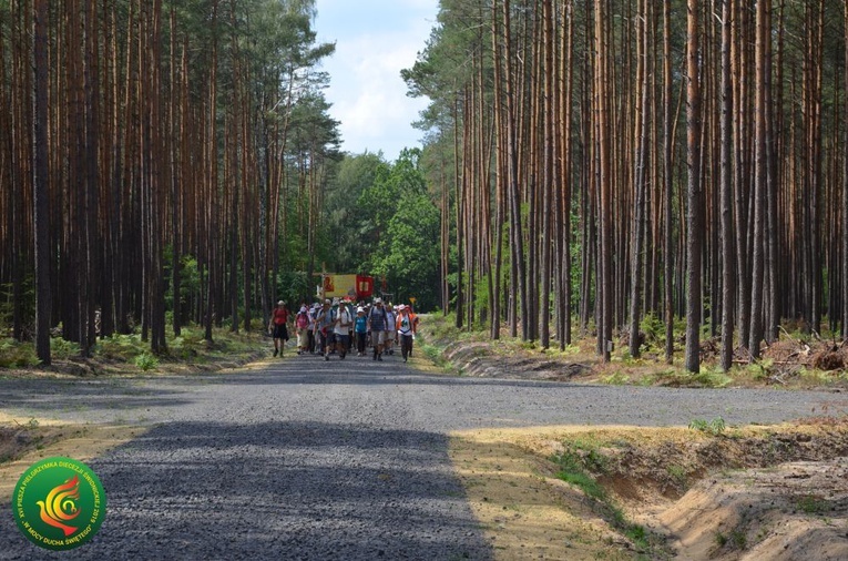 Dzień 7. PPDŚ: Laskowice - Łomnica, 6.08.2019
