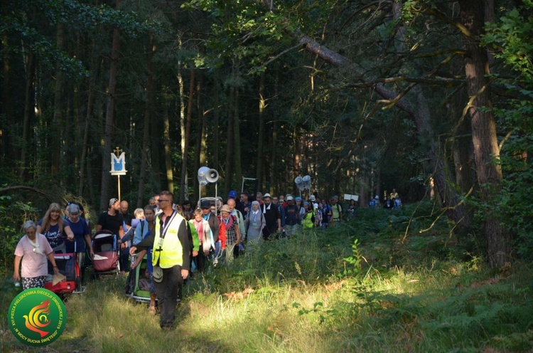 Dzień 6. PPDŚ: Popielów - Laskowice, 5.08.2019