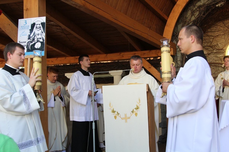 28. Piesza Pielgrzymka Bielsko-Żywiecka na Jasną Górę - Msza św. w Hałcnowie - 2019