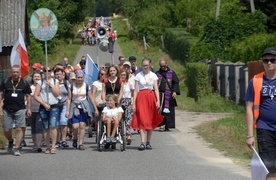 Skarżyską kolumnę tworzą 3 grupy - sanktuaryjna, franciszkańska i suchedniowska.