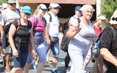 Pielgrzymi hałcnowscy na trasie - w Pisarzowicach - 2019