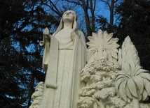 Poproś Gwiazdę i Panią Różę