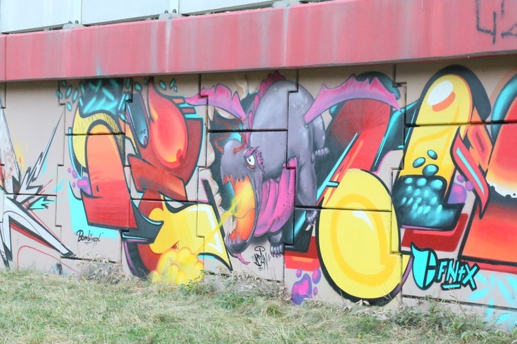 Graffiti przy S17 w Lublinie